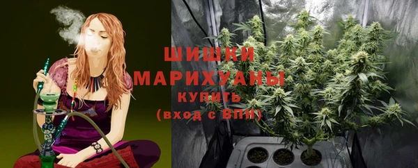 соль ск Богородицк